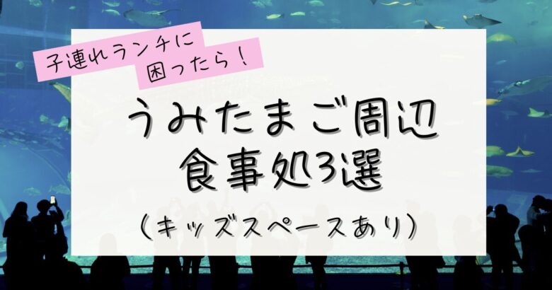 うみたまご周辺子連れランチに困ったら！食事処３選の記事のアイキャッチ画像