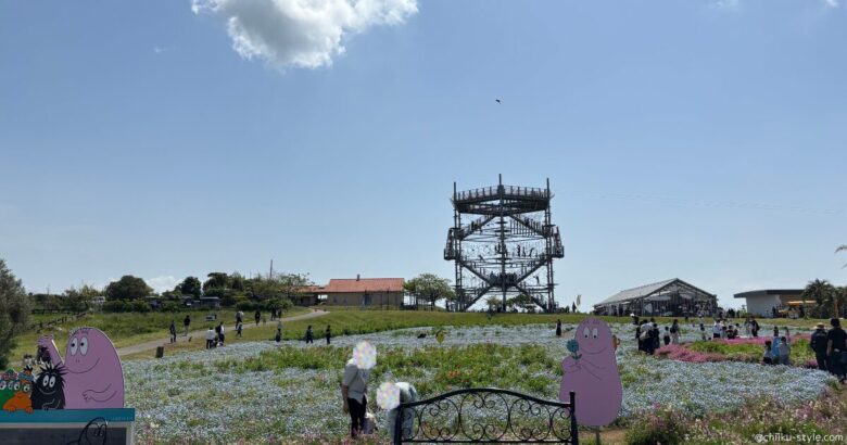 実録|ネモフィラはキレイで癒された。けど、少し小さめの花畑!