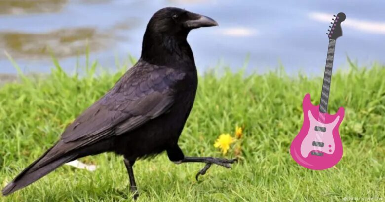 作品を通じて子どもの感性を育ててくれる黒い鳥の存在