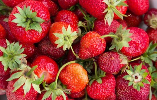 いちごが有名な東日本の都道府県をリストアップ